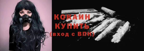 молекула духа Белая Холуница