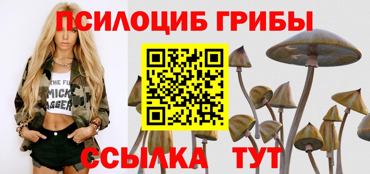 Галлюциногенные грибы Magic Shrooms Гурьевск
