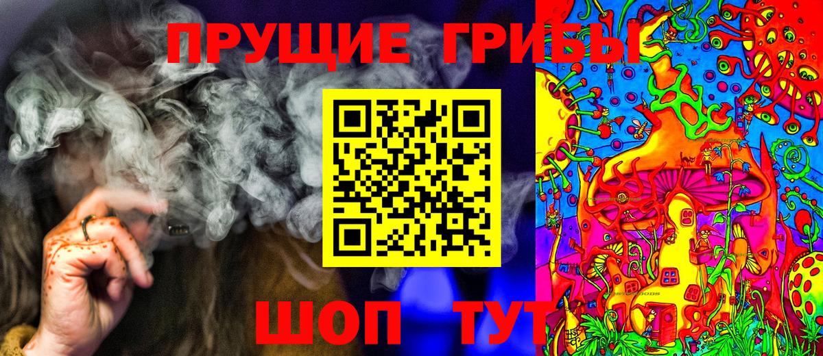 Псилоцибиновые грибы мухоморы  Вход с VPN  Псилоцибиновые грибы GOLDEN TEACHER  Гурьевск 