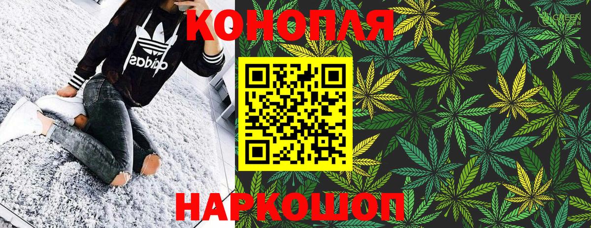 Бошки Шишки сатива Гурьевск