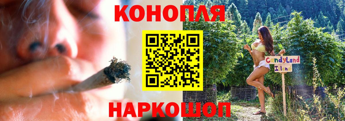 Каннабис план  МАРИХУАНА Ganja  Бошки марихуана ГИДРОПОН  Гурьевск  Вход с VPN 